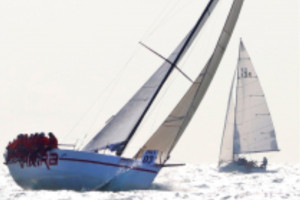 11회 우승 VIKIRA.jpg