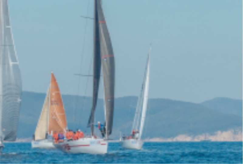 14회 우승 VIKIRA.jpg